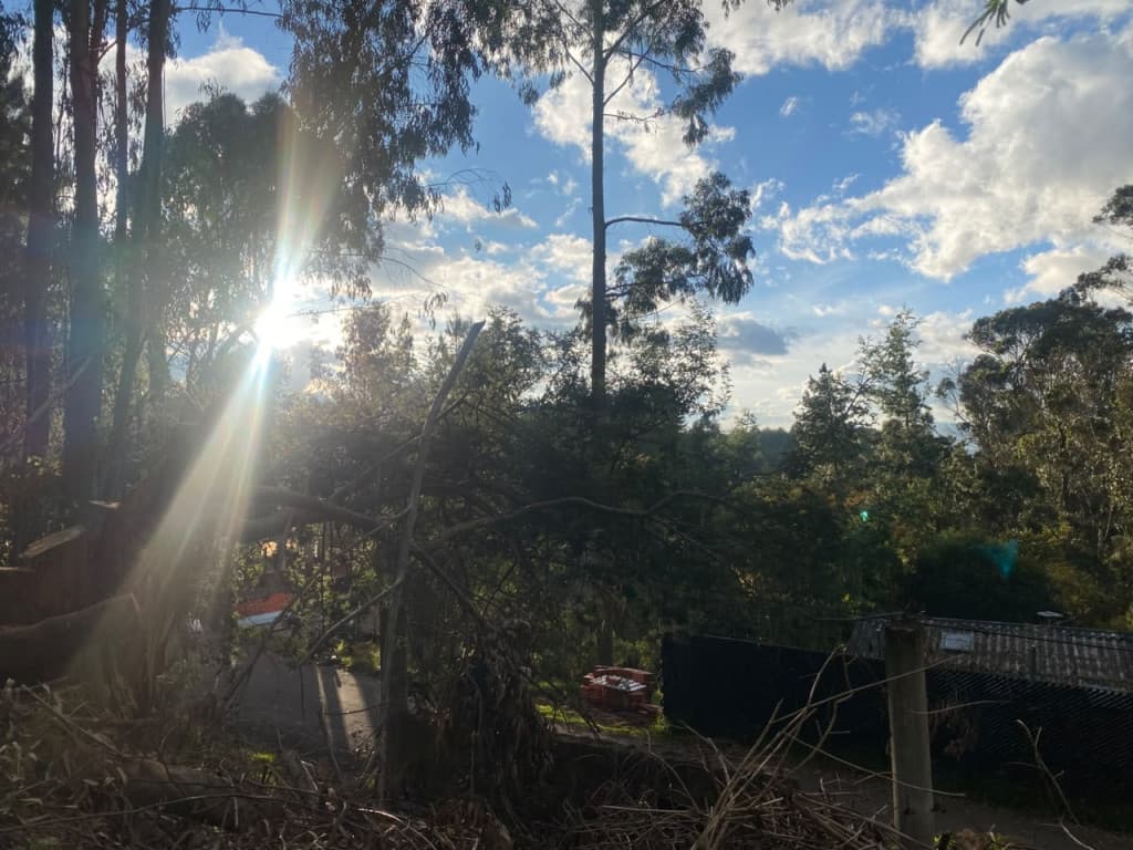 Lote en La Sureña, Bogotá — foto 5